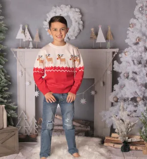 Reindeer love - Boys Sweater